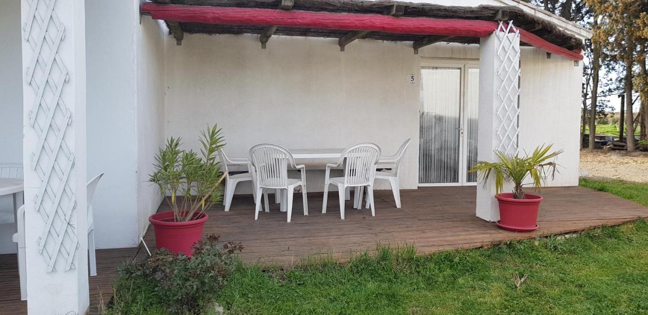 Mas Des Cypres Apartment Saintes-Maries-de-la-Mer Luaran gambar